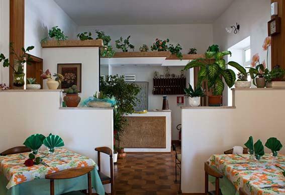 Albergo Lido Silvi Marina Bagian luar foto